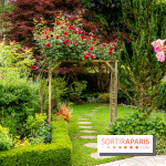 Le Jardin des Aubépines a Auffargis  - A7C01417