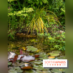 Le Jardin des Aubépines a Auffargis  - A7C01441