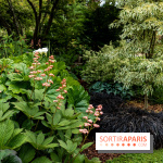 Le Jardin des Aubépines a Auffargis  - A7C01328