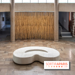 Exposition de Thảo Nguyên Phan au Palais de Tokyo - DSC 3070