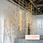 Exposition de Thảo Nguyên Phan au Palais de Tokyo - DSC 3097