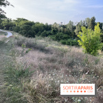 Le parc de l'Île-Saint-Denis - nos photos - 7B5E50E8 A9AF 4D82 AC6B FBB16863195F