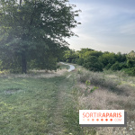 Le parc de l'Île-Saint-Denis - nos photos - 96DC1E52 629A 41C7 847C 4D6BC35C470A