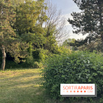 Le parc de l'Île-Saint-Denis - nos photos - 3F146E9F D3AF 4C8E AD51 F90D85BAC341