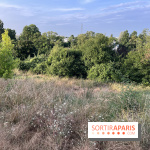 Le parc de l'Île-Saint-Denis - nos photos - C60ACAF0 A53D 4E50 8266 1C99F754FAE5