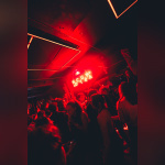 Nocturna au Medusarium De Paris : Une soirée house dans une boîte insolite de Paris - A7300375 Enhanced NR