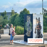 Festival 240 Street 2025 - street art  - IMG 2368