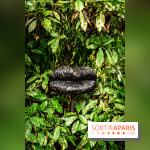 Grandeur Nature II, le festival d'art contemporain gratuit au parc du Château de Fontainebleau - A7C02754