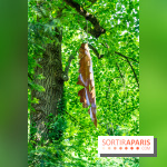 Grandeur Nature II, le festival d'art contemporain gratuit au parc du Château de Fontainebleau