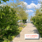 Archipel des Berges Niki de Saint-Phalle - nos photos - D3C6C7FC 28FF 43BE ADD1 EDF11E16DD17