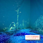 Topologie de l’Eau : Roches, Plantes et Vent - IMG 3240