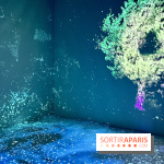 Topologie de l’Eau : Roches, Plantes et Vent - IMG 3242