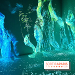 Topologie de l’Eau : Roches, Plantes et Vent - IMG 3247