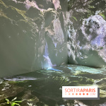 Topologie de l’Eau : Roches, Plantes et Vent - IMG 3261