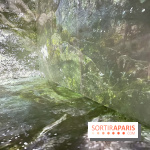 Topologie de l’Eau : Roches, Plantes et Vent - IMG 3264