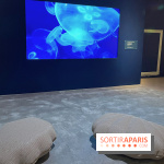 Transparence au Palais des enfants - nos photos - A9C8FEA1 98EA 4475 B97F A6EDF86F4C96