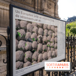 Hôtel de Ville - De Paris à Belem - Forêt Urbaine - Obey