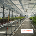 Rooftop Plantation Paris - IMG 7968 jpg