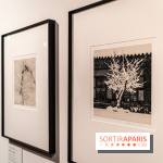 Exposition Haïkus d’argent, l’Asie photographiée par Michael Kenna au MuséeGuimet, les photos - A7C02203