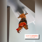 La Folie Barbizon, l'hôtel et restaurant renait entre art et nature - les photos
