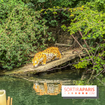 Adventure Boat : l’expérience immersive sur un bateau à Nogent-sur-Marne - IMG 6607