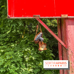 Adventure Boat : l’expérience immersive sur un bateau à Nogent-sur-Marne - IMG 6608