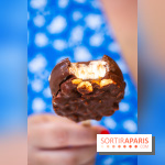 Les bouchées glacées de la Chocolaterie William Artigue, les esquimaux gourmands - A7C04201