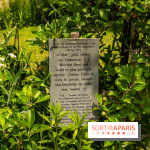 Le Musée Stéphane Mallarmé - 77 - les photos - A7C02490