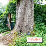 Le Musée Stéphane Mallarmé - 77 - les photos - A7C02423