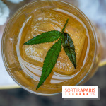 Frivole, restaurant festif, bar et terrasse cachée à Paris, les photos - A7C04326