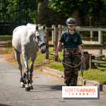 Visite guidée de l'École Mlitaire d'Équitation - A7C02316