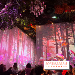 Wonderwoods
