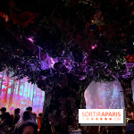 Wonderwoods