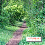 Le port de Valvins-les-Bains, les photos