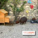 Jardin Junot - nos photos - A1394A7C BDBD 4D4A 8887 7AC4B5F47727