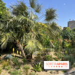 Parc de la Planchette - nos photos - D3507EBA 8E2F 4894 99AB 1E984D7909B4