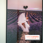 Exposition Dancing the Earth au Couvent de l'Annonciation Paris 8e - A7C06550