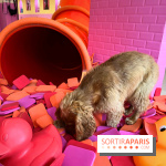 Patapwouf, le spot cani-friendly de Saint-Ouen - nos photos - 039E98EA 14EC 4A45 835B A43C1DA1FDC6