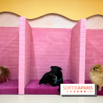 Patapwouf, le spot cani-friendly de Saint-Ouen - nos photos - EFD876A8 E455 49B4 A85E 02B255FF5AC9