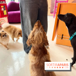 Patapwouf, le spot cani-friendly de Saint-Ouen - nos photos - FB70D621 F8DA 4209 90C0 D461AB7967BD