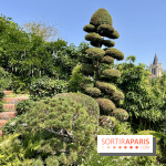 Maison musée Maurice Ravel - IMG 4207