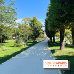 Le Jardin de l'Île, la promenade à la Ferté-sous-Jouarre (77) - nos photos  - E2839FE5 0005 4D41 949D AF57EC704CE5