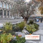 Jardin mémoriel du 13 novembre 2015 - Jardin du Souvenir - nos photos - IMG 1835