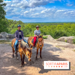 Balade en chevaux Henson en forêt de Fontainebleau  - IMG 2049