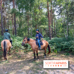 Balade en chevaux Henson en forêt de Fontainebleau  - IMG 2107