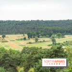 L'Hippodrome de la Solle à Fontainebleau - photos - A7C02779