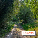 Parc de la Roseraie Châtenay - IMG 4428 jpg