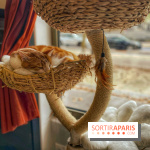 Chat-Rivari Café