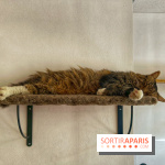 Chat-Rivari Café