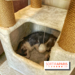 Chat-Rivari Café